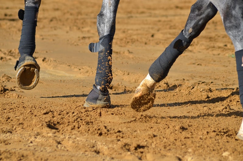 Peaceful Strides